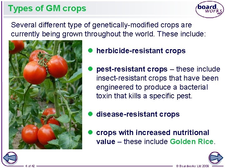 Types of GM crops Several different type of genetically-modified crops are currently being grown