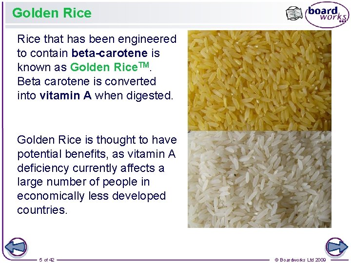 Golden Rice that has been engineered to contain beta-carotene is known as Golden Rice.