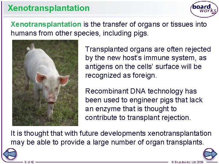 Xenotransplantation is the transfer of organs or tissues into humans from other species, including
