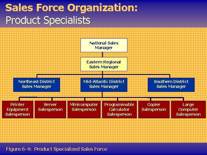 Sales Force Organization: Product Specialists National Sales Manager Eastern Regional Sales Manager Northeast District