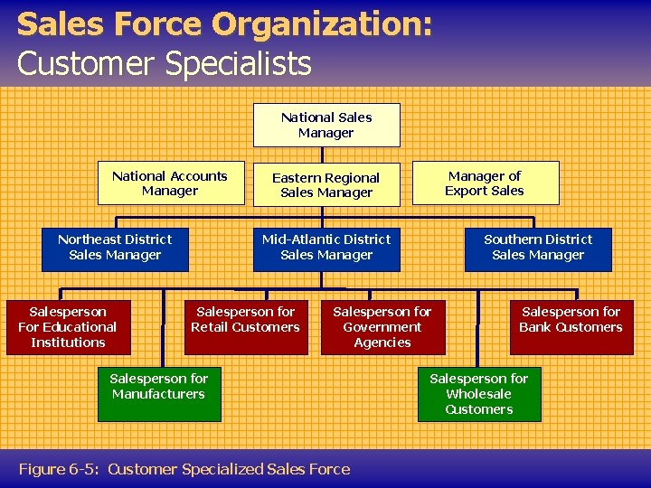 Sales Force Organization: Customer Specialists National Sales Manager National Accounts Manager Northeast District Sales