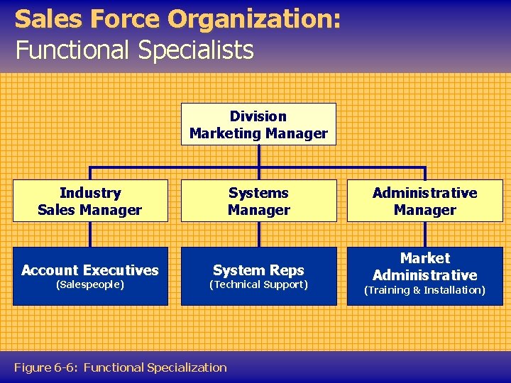 Sales Force Organization: Functional Specialists Division Marketing Manager Industry Sales Manager Account Executives (Salespeople)