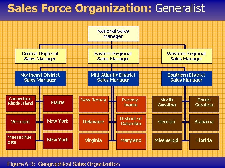 Sales Force Organization: Generalist National Sales Manager Central Regional Sales Manager Eastern Regional Sales