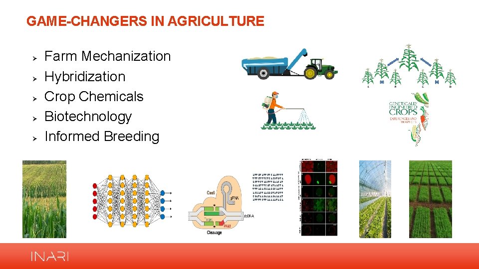 GAME-CHANGERS IN AGRICULTURE Ø Ø Ø Farm Mechanization Hybridization Crop Chemicals Biotechnology Informed Breeding