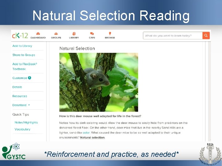 Natural Selection Reading *Reinforcement and practice, as needed* 