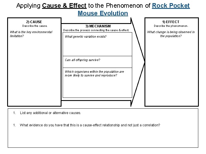Applying Cause & Effect to the Phenomenon of Rock Pocket Mouse Evolution 2) CAUSE