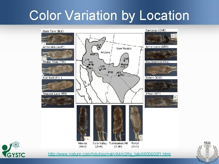 Color Variation by Location http: //www. nature. com/hdy/journal/v 94/n 2/fig_tab/6800600 f 1. html 