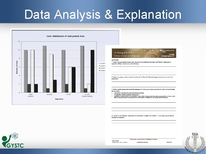 Data Analysis & Explanation 