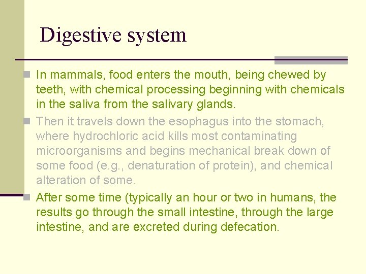 Digestive system n In mammals, food enters the mouth, being chewed by teeth, with