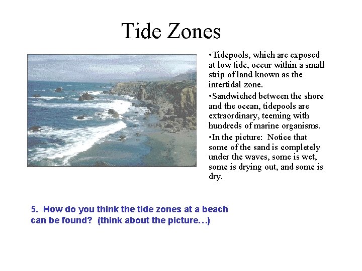 Tide Zones • Tidepools, which are exposed at low tide, occur within a small