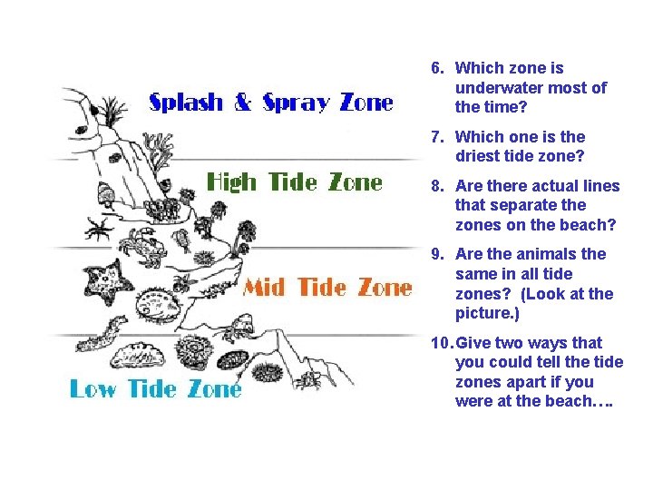 6. Which zone is underwater most of the time? 7. Which one is the