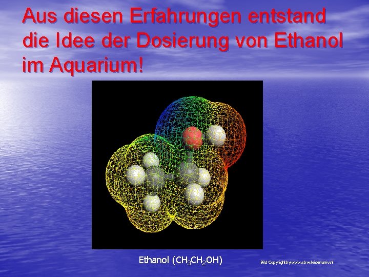 Aus diesen Erfahrungen entstand die Idee der Dosierung von Ethanol im Aquarium! Ethanol (CH