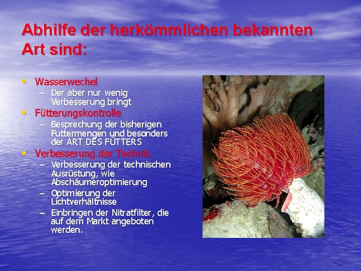 Abhilfe der herkömmlichen bekannten Art sind: • Wasserwechel – Der aber nur wenig Verbesserung