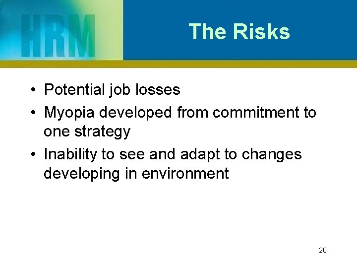 The Risks • Potential job losses • Myopia developed from commitment to one strategy