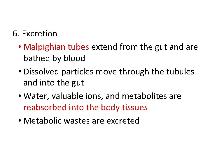 6. Excretion • Malpighian tubes extend from the gut and are bathed by blood