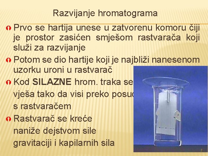 Razvijanje hromatograma Prvo se hartija unese u zatvorenu komoru čiji je prostor zasićen smješom