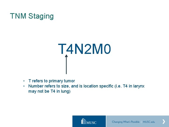 TNM Staging T 4 N 2 M 0 • T refers to primary tumor