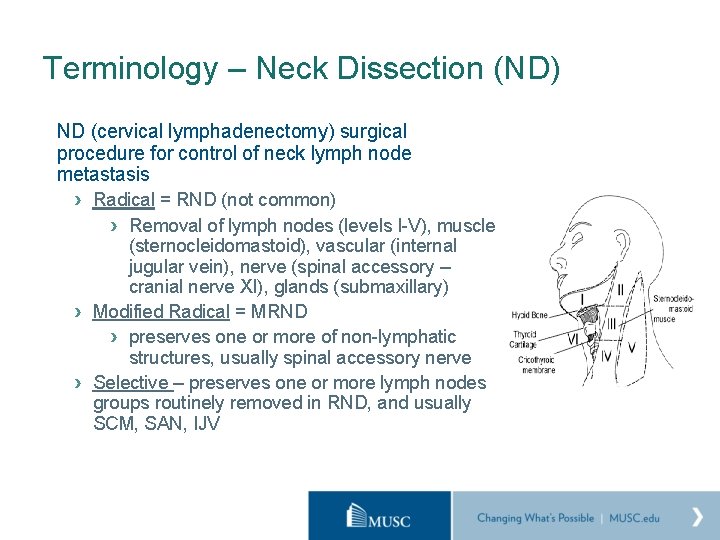 Terminology – Neck Dissection (ND) ND (cervical lymphadenectomy) surgical procedure for control of neck