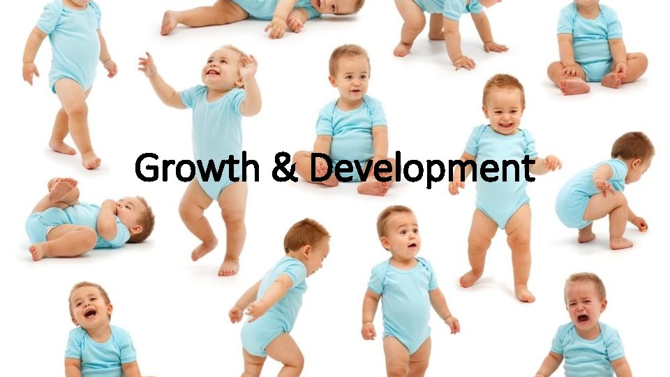 Growth & Development 