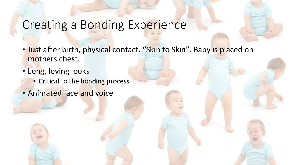 Creating a Bonding Experience • Just after birth, physical contact. “Skin to Skin”. Baby