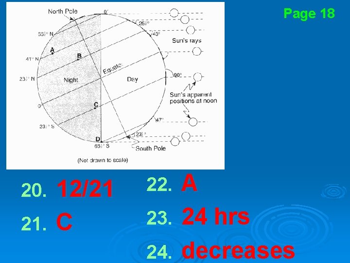 Page 18 12/21 21. C 20. A 23. 24 hrs 24. decreases 22. 