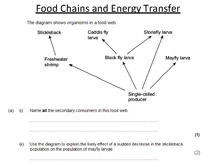 Food Chains and Energy Transfer (2) 