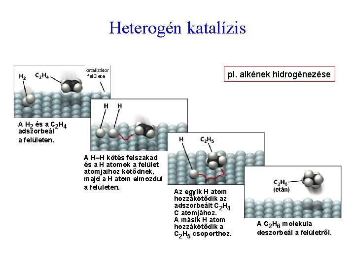 Heterogén katalízis katalizátor felülete pl. alkének hidrogénezése A H 2 és a C 2