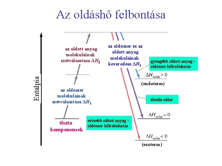 Az oldáshő felbontása Entalpia az oldott anyag molekuláinak szétválasztása ΔH 2 az oldószer és