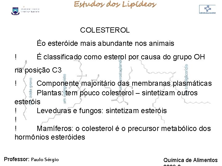 LIPÍDIOS COLESTEROL Éo esteróide mais abundante nos animais ! É classificado como esterol por LIPÍDIOS COLESTEROL Éo esteróide mais abundante nos animais ! É classificado como esterol por