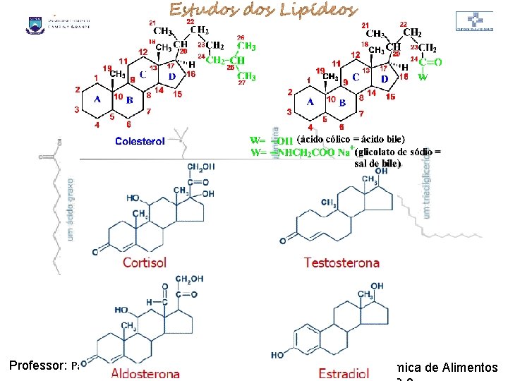 LIPÍDIOS Professor: Paulo Sérgio Química de Alimentos LIPÍDIOS Professor: Paulo Sérgio Química de Alimentos