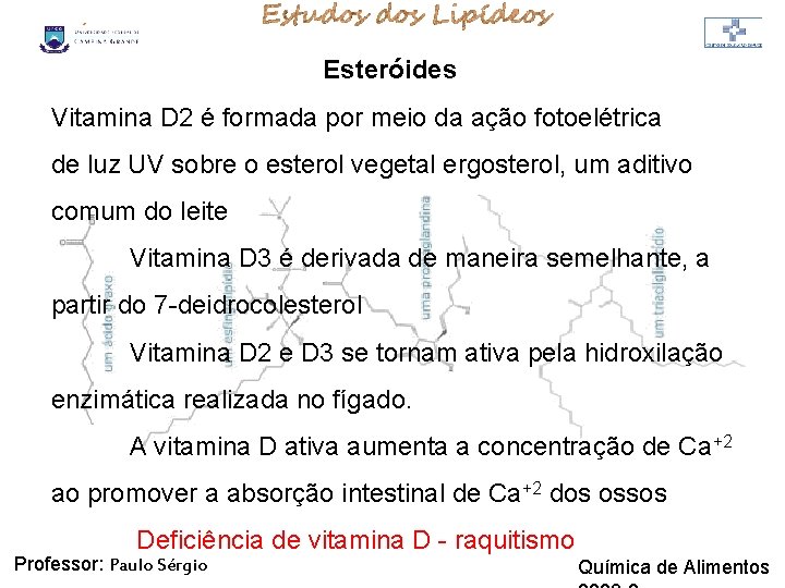LIPÍDIOS Esteróides Vitamina D 2 é formada por meio da ação fotoelétrica de luz LIPÍDIOS Esteróides Vitamina D 2 é formada por meio da ação fotoelétrica de luz