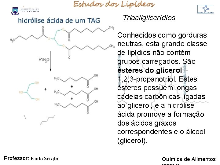LIPÍDIOS Triacilglicerídios Conhecidos como gorduras neutras, esta grande classe de lipídios não contém grupos LIPÍDIOS Triacilglicerídios Conhecidos como gorduras neutras, esta grande classe de lipídios não contém grupos