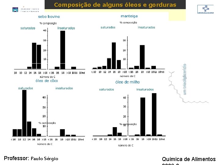 LIPÍDIOS Composição de alguns óleos e gorduras Professor: Paulo Sérgio Química de Alimentos LIPÍDIOS Composição de alguns óleos e gorduras Professor: Paulo Sérgio Química de Alimentos