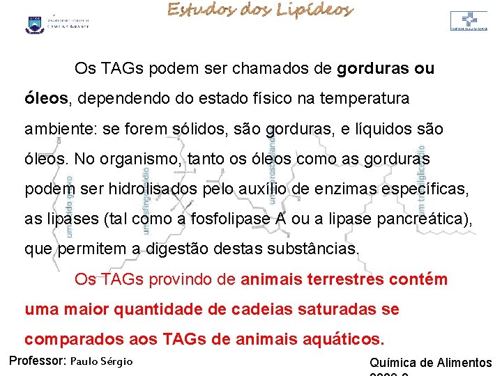 LIPÍDIOS Os TAGs podem ser chamados de gorduras ou óleos, dependendo do estado físico LIPÍDIOS Os TAGs podem ser chamados de gorduras ou óleos, dependendo do estado físico