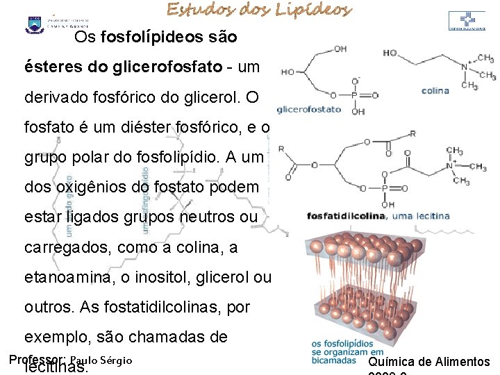 LIPÍDIOS Os fosfolípideos são ésteres do glicerofosfato - um derivado fosfórico do glicerol. O LIPÍDIOS Os fosfolípideos são ésteres do glicerofosfato - um derivado fosfórico do glicerol. O