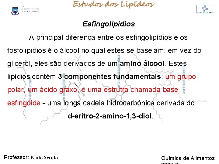 LIPÍDIOS Esfingolipídios A principal diferença entre os esfingolipídios e os fosfolipídios é o álcool LIPÍDIOS Esfingolipídios A principal diferença entre os esfingolipídios e os fosfolipídios é o álcool