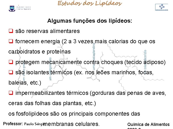 LIPÍDIOS Algumas funções dos lipídeos: q são reservas alimentares q fornecem energia (2 a LIPÍDIOS Algumas funções dos lipídeos: q são reservas alimentares q fornecem energia (2 a