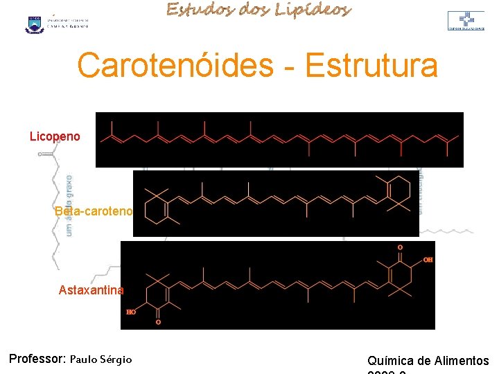LIPÍDIOS Carotenóides - Estrutura Licopeno Beta-caroteno Astaxantina Professor: Paulo Sérgio Química de Alimentos LIPÍDIOS Carotenóides - Estrutura Licopeno Beta-caroteno Astaxantina Professor: Paulo Sérgio Química de Alimentos