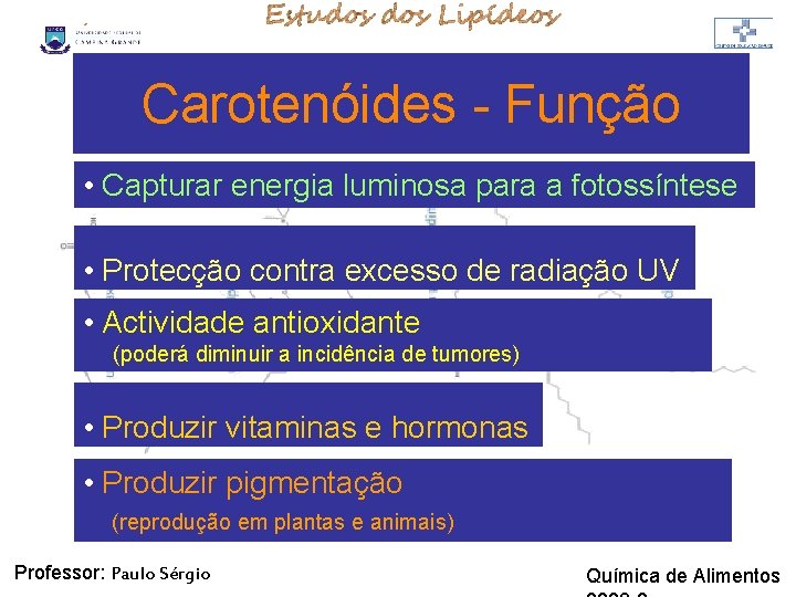 LIPÍDIOS Carotenóides - Função • Capturar energia luminosa para a fotossíntese • Protecção contra LIPÍDIOS Carotenóides - Função • Capturar energia luminosa para a fotossíntese • Protecção contra