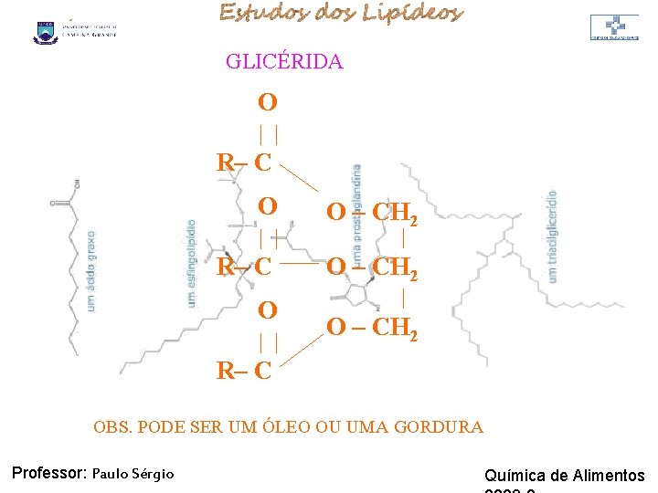 LIPÍDIOS GLICÉRIDA O | | R– C O | | O – CH 2 LIPÍDIOS GLICÉRIDA O | | R– C O | | O – CH 2