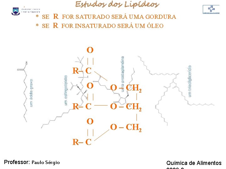 LIPÍDIOS * SE R FOR SATURADO SERÁ UMA GORDURA R FOR INSATURADO SERÁ UM LIPÍDIOS * SE R FOR SATURADO SERÁ UMA GORDURA R FOR INSATURADO SERÁ UM