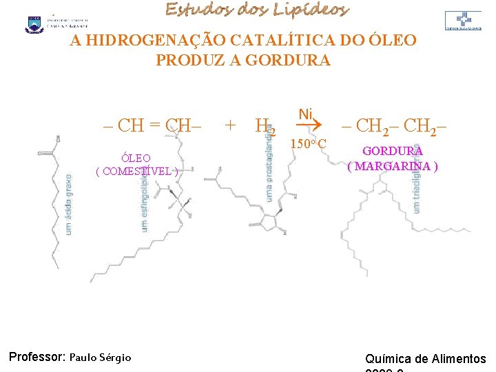 LIPÍDIOS A HIDROGENAÇÃO CATALÍTICA DO ÓLEO PRODUZ A GORDURA – CH = CH– ÓLEO LIPÍDIOS A HIDROGENAÇÃO CATALÍTICA DO ÓLEO PRODUZ A GORDURA – CH = CH– ÓLEO