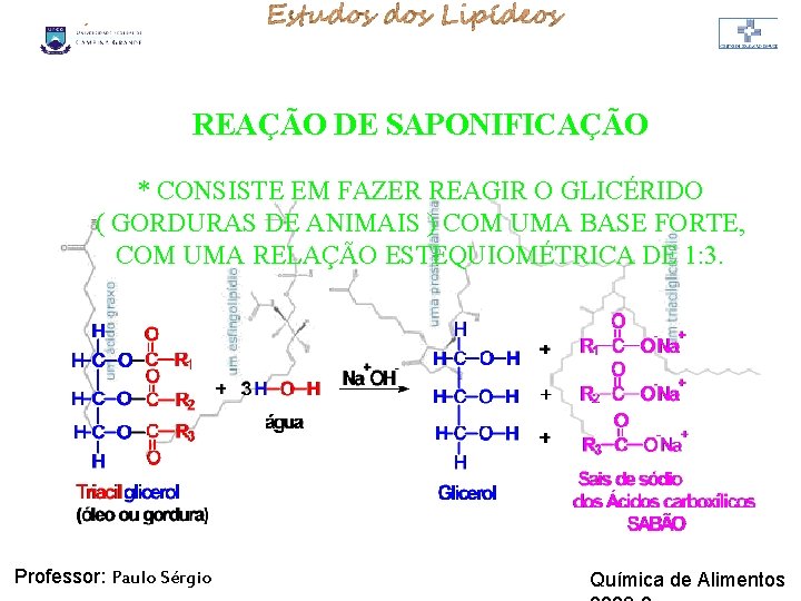 LIPÍDIOS REAÇÃO DE SAPONIFICAÇÃO * CONSISTE EM FAZER REAGIR O GLICÉRIDO ( GORDURAS DE LIPÍDIOS REAÇÃO DE SAPONIFICAÇÃO * CONSISTE EM FAZER REAGIR O GLICÉRIDO ( GORDURAS DE