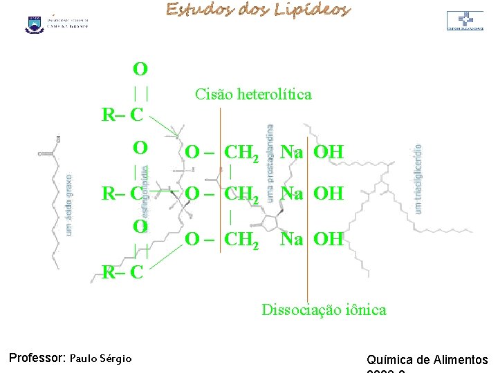 LIPÍDIOS O | | Cisão heterolítica R– C O | | O – CH LIPÍDIOS O | | Cisão heterolítica R– C O | | O – CH