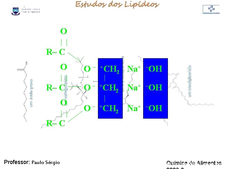 LIPÍDIOS O | | R– C O | | O – +CH 2 Na+ LIPÍDIOS O | | R– C O | | O – +CH 2 Na+