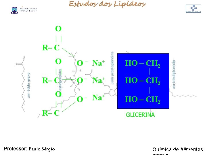 LIPÍDIOS O | | R– C Professor: Paulo Sérgio O – Na+ HO – LIPÍDIOS O | | R– C Professor: Paulo Sérgio O – Na+ HO –