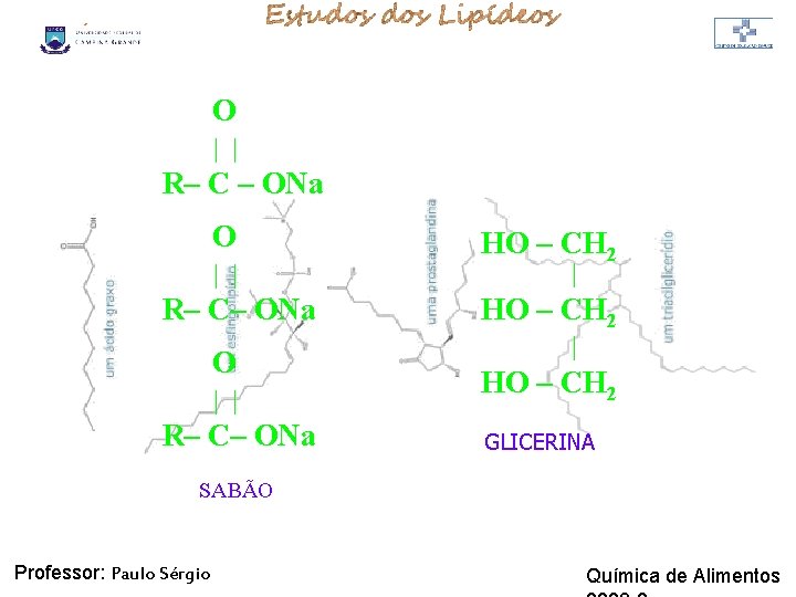 LIPÍDIOS O | | R– C – ONa O | | R– C– ONa LIPÍDIOS O | | R– C – ONa O | | R– C– ONa