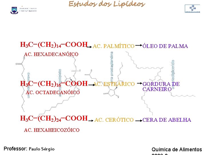 LIPÍDIOS H 3 C-(CH 2)14 -COOH AC. PALMÍTICO ÓLEO DE PALMA AC. ESTEÁRICO GORDURA LIPÍDIOS H 3 C-(CH 2)14 -COOH AC. PALMÍTICO ÓLEO DE PALMA AC. ESTEÁRICO GORDURA