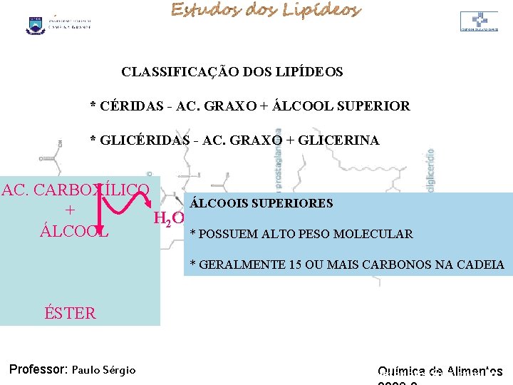 LIPÍDIOS CLASSIFICAÇÃO DOS LIPÍDEOS * CÉRIDAS - AC. GRAXO + ÁLCOOL SUPERIOR * GLICÉRIDAS LIPÍDIOS CLASSIFICAÇÃO DOS LIPÍDEOS * CÉRIDAS - AC. GRAXO + ÁLCOOL SUPERIOR * GLICÉRIDAS