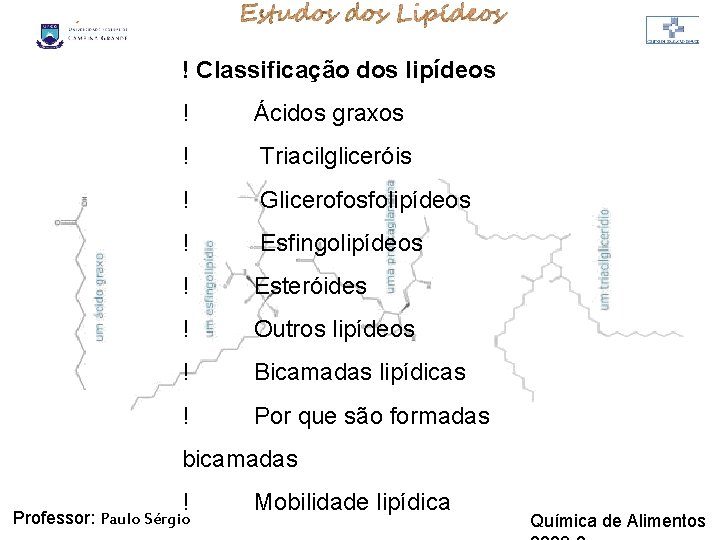 LIPÍDIOS ! Classificação dos lipídeos ! Ácidos graxos ! Triacilgliceróis ! Glicerofosfolipídeos ! Esfingolipídeos LIPÍDIOS ! Classificação dos lipídeos ! Ácidos graxos ! Triacilgliceróis ! Glicerofosfolipídeos ! Esfingolipídeos